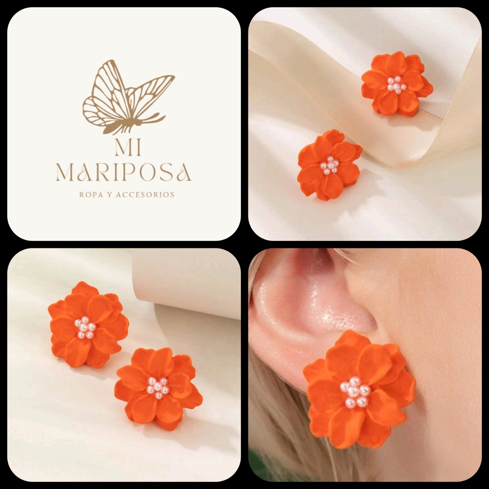 Aretes05.JFIF